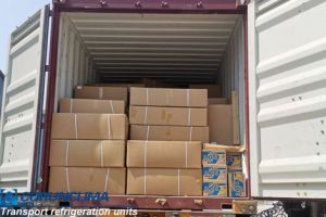Un contenedor de 20 pies de unidad de refrigeración de transporte se carga y se entrega a Oriente Medio